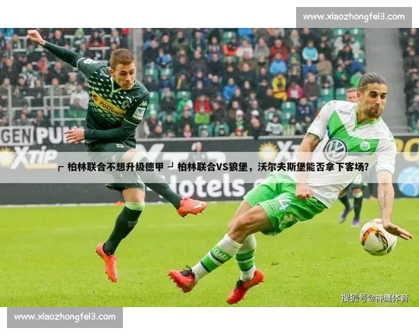 权威体育资讯平台官方入口实时赛事比分与专业数据分析